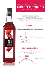 1883 Maison Routin Grenadine Syrup PET Bottle Spec