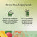 Twinings Mango & Lychee Green Tea Bags (20)