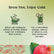Twinings Pomegranate Green Tea Bags (20)