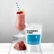 Bristol Syrup Company Raspberry Puree