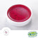 Dragonfruit Flavoured Syrup 2.5kg