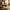 1883 Maison Routin Yellow Lemon Syrup - 1 Litre (Glass Bottle)