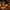 1883 Maison Routin Tangerine Syrup - 1 Litre (Glass Bottle)