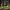 1883 Maison Routin Green Apple Syrup - 1 Litre (Glass Bottle)