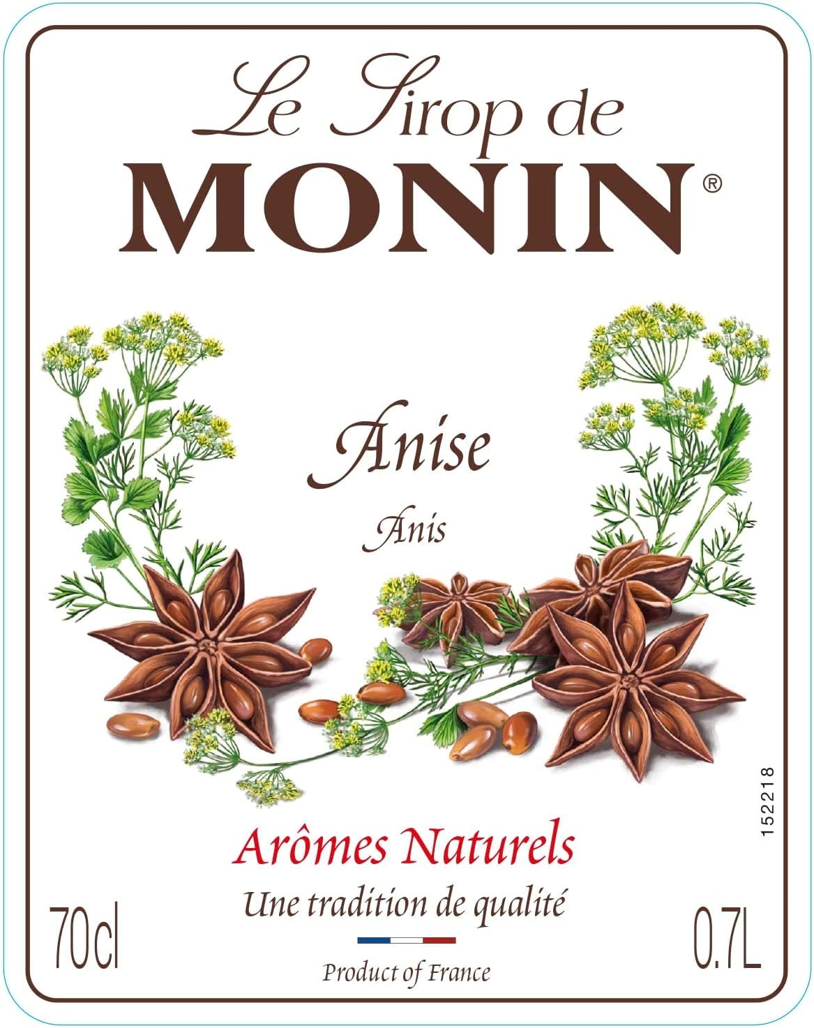 Monin Aniseed Syrup (700ml)