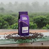 Planet Java Monsooned Malabar 100% Arabica Coffee Beans (1kg)